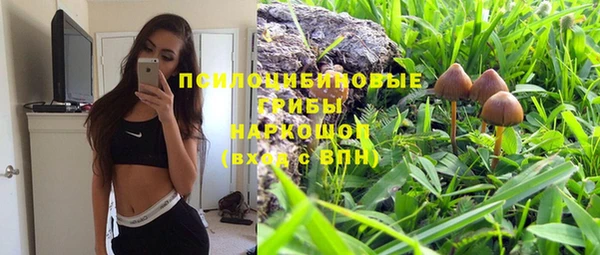а пвп мука Лабытнанги