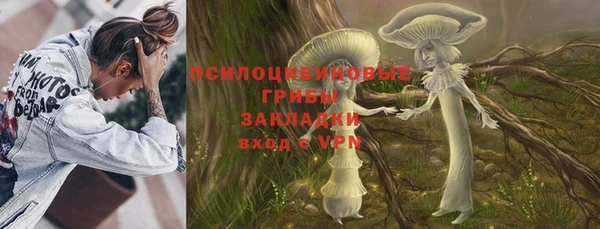 соль ск Лагань