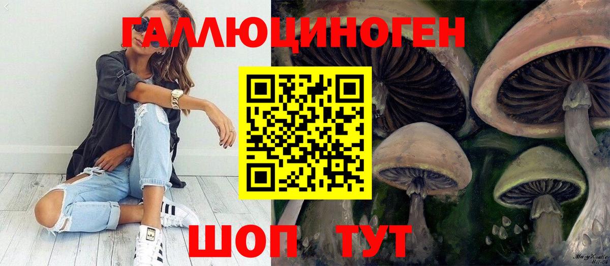 Псилоцибиновые грибы Psilocybe Благодарный