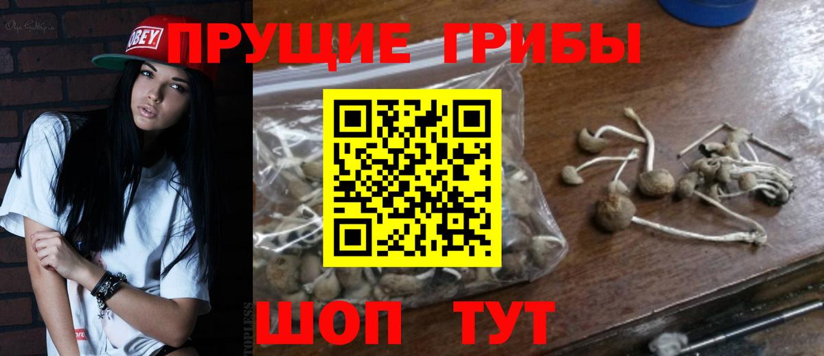 Благодарный  Псилоцибиновые грибы GOLDEN TEACHER  Вход с VPN 