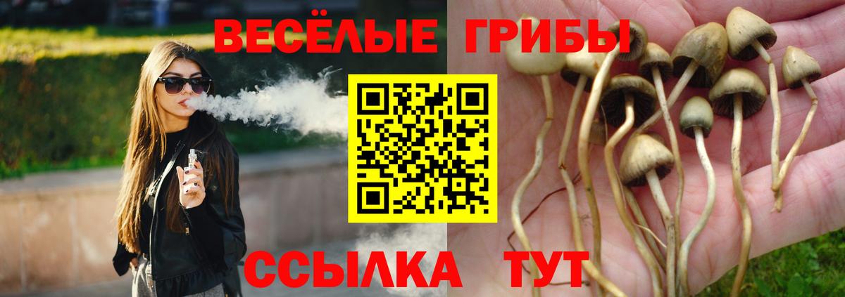 Псилоцибиновые грибы GOLDEN TEACHER  где купить наркоту  Благодарный 