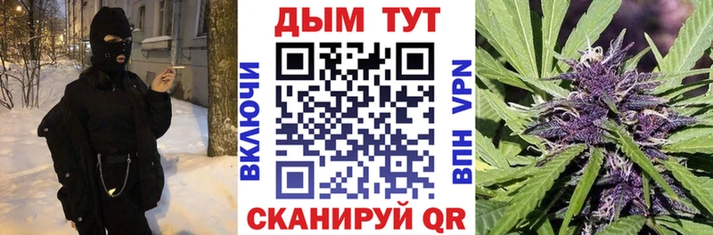 Бошки Шишки план  сколько стоит  Благодарный 